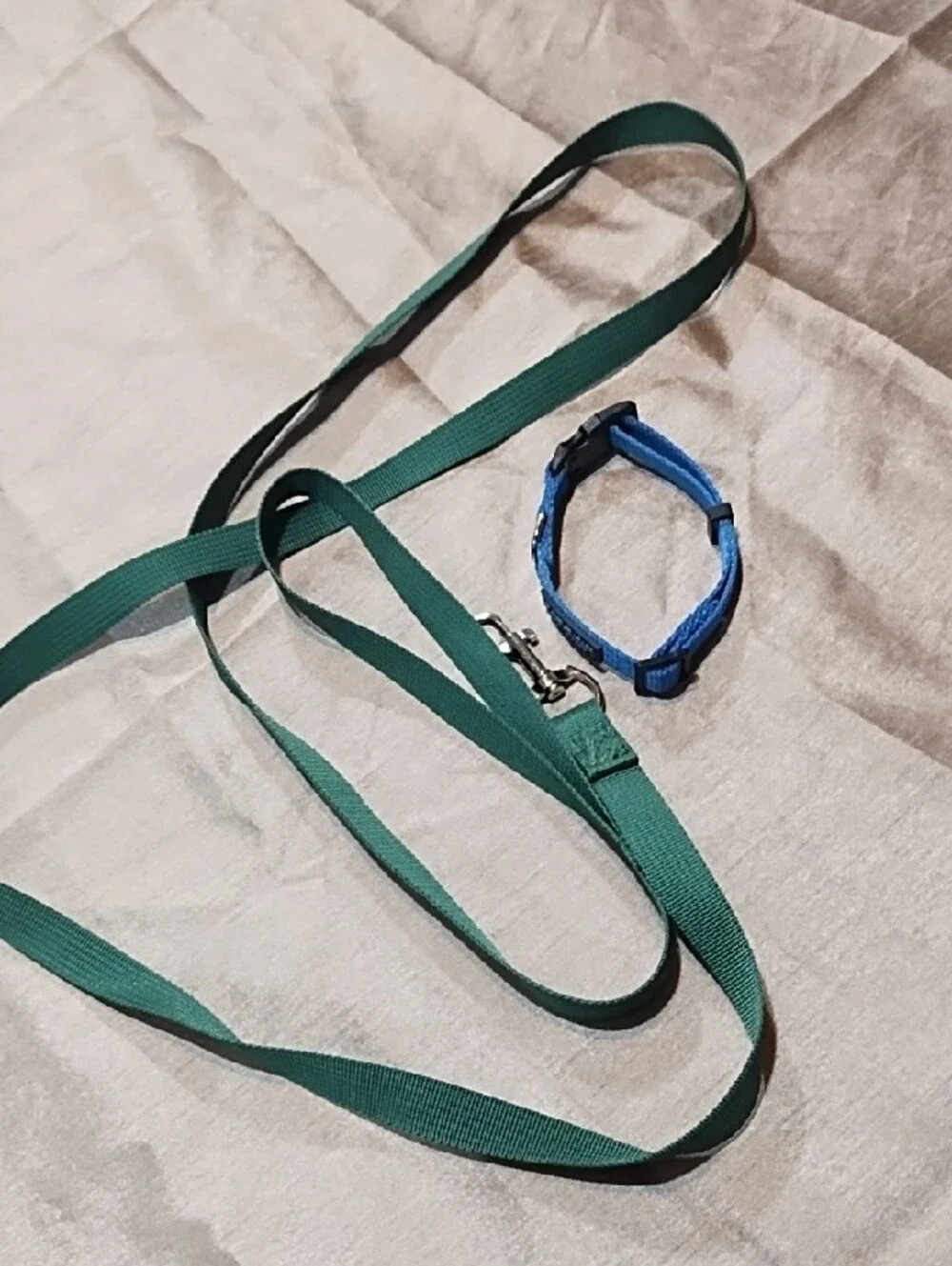 Top Paw Green Leash with Blue Collar Small Dog Never Used.
